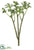 Silk Plants Direct Jade Plant Spray - Green - Pack of 12