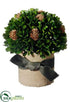 Silk Plants Direct Preserved Boxwood, Pine Cone Ball - Green - Pack of 6