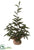 Pine Tree With Cone - Green - Pack of 4