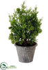 Silk Plants Direct Colorado Pine Tree - Green - Pack of 4