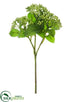 Silk Plants Direct Sedum Spray - Green - Pack of 12