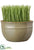 Grass - Green - Pack of 6