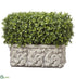 Silk Plants Direct Boxwood - Green - Pack of 1
