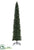 Tower Pencil Pine Tree - Green - Pack of 1