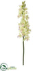 Silk Plants Direct Cymbidium Orchid Spray - Green - Pack of 12