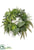 Fern, Grass, Anthurium , Echeveria Wreath - Green - Pack of 1