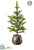 Spruce Tree - Green - Pack of 4