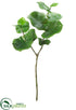 Silk Plants Direct Tropical Eucalyptus Spray - Green - Pack of 6
