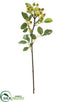 Silk Plants Direct Rosehip Spray - Green - Pack of 6