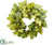 Fig Leaf, Fern Wreath - Green - Pack of 2