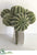 Barrel Cactus Pick - Green - Pack of 12