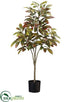 Silk Plants Direct Croton Tree - Green - Pack of 4