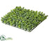 Silk Plants Direct Sedum Mat - Green - Pack of 12