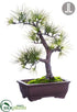 Silk Plants Direct Long Needle Pine Bonsai - Green - Pack of 2