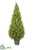 Juniper Teardrop Topiary - Green - Pack of 1
