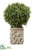 Boxwood Ball - Green - Pack of 1