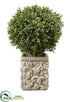 Silk Plants Direct Boxwood Ball - Green - Pack of 1