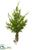 Juniper Tree Stem With Roots - Green - Pack of 6