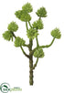 Silk Plants Direct Sedum Spray - Green - Pack of 12