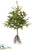 Pine Tree Branch - Green - Pack of 2