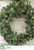 Vienna Wreath - Green - Pack of 4