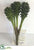 Silk Plants Direct Cactus Pick - Green - Pack of 24