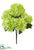 Hydrangea Bush - Green - Pack of 12