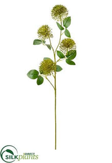 Allium Spray - Green - Pack of 12