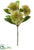 Allium Bud Spray - Green - Pack of 12