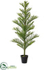 Silk Plants Direct Norfolk Pine Tree - Green - Pack of 1