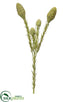 Silk Plants Direct Leucadendron Spray - Green - Pack of 12