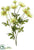 Silk Plants Direct Daisy Spray - Green - Pack of 12