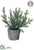 Silk Plants Direct Double Pine Tree - Green - Pack of 4