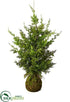 Silk Plants Direct Hanging Juniper Tree - Green - Pack of 4