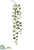 Hoya Leaf Hanging Spray - Green - Pack of 12