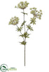 Silk Plants Direct Queen Anne's Lace Spray - Green - Pack of 12
