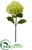 Silk Plants Direct Hydrangea Spray - Green - Pack of 6