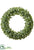 Sedum Wreath - Green - Pack of 2