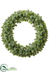 Silk Plants Direct Sedum Wreath - Green - Pack of 2