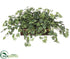 Silk Plants Direct Mini Ivy - Green - Pack of 1