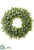 Plastic Eucalyptus Wreath - Green - Pack of 1