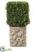 Silk Plants Direct Square Boxwood - Green - Pack of 1