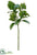 Skimmia Spray - Green - Pack of 12