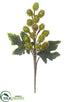 Silk Plants Direct Beaded Grape Pick - Green - Pack of 12
