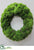 Large Moss Wreath - Green - Pack of 6