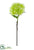 Hydrangea Spray - Green - Pack of 12