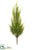 Juniper Tree Stem - Green - Pack of 12