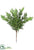 Silk Plants Direct Cedar Pick - Green - Pack of 12