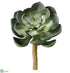 Silk Plants Direct Echeveria Pick - Green - Pack of 6