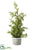 Silk Plants Direct Juniper Tree - Green - Pack of 6